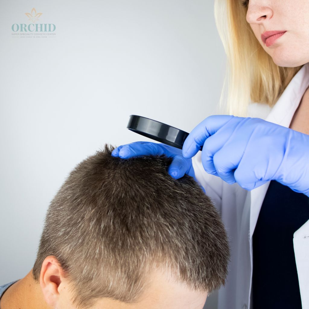 orchid hair check up